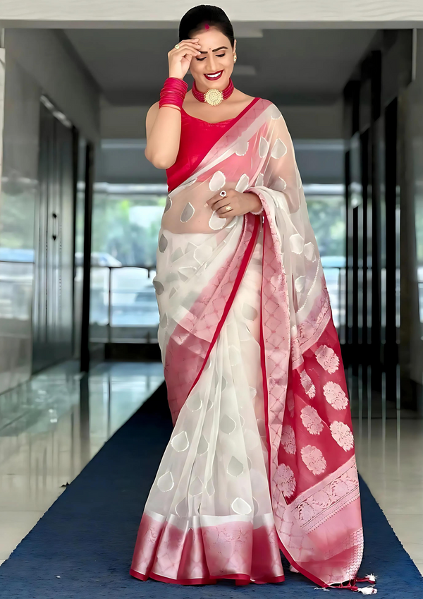 SOFT ORGANZA FABRIC WITH SILVER JAQUARD SAREE