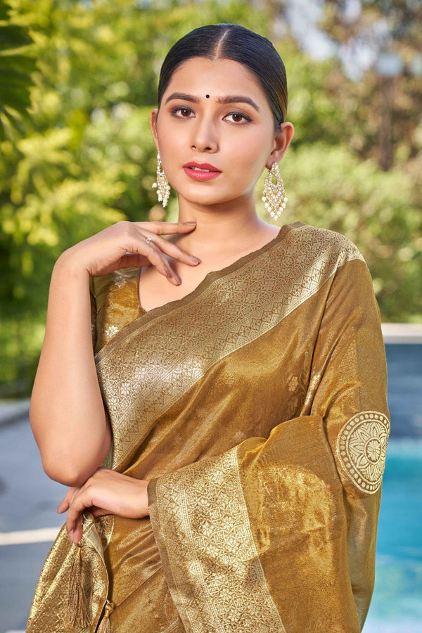 Metallic Shimmer Silk Saree