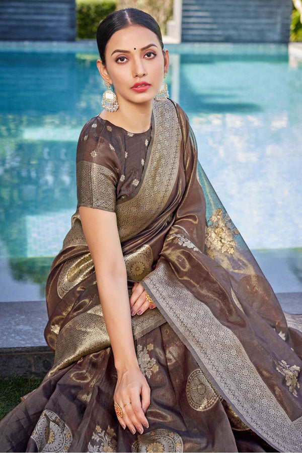 Metallic Shimmer Silk Saree